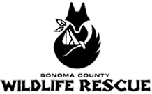 Sonoma County Wildlife Rescue Logo