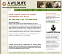 wildlife site thumbnail