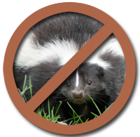 Avoid Skunks Photo